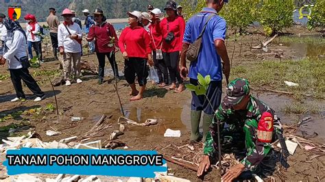 Babinsa Tirtoyudo Menanam Pohon Manggrove Dipantai Sepellot