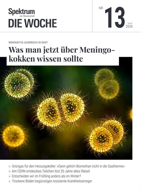 Antikörper: Schlüsselproteine des Immunsystems erklärt - Spektrum der