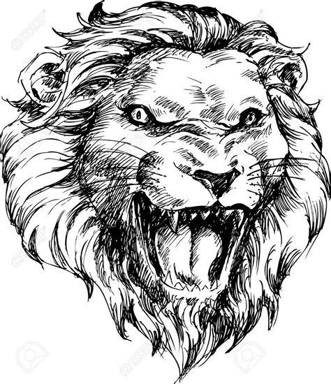 Lion Head Drawing at GetDrawings | Free download