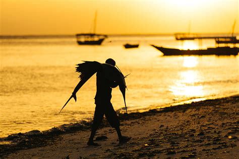 Deep Sea Fishing in Zanzibar - Hotel Zanzibar