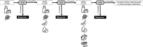 Development Of A Practical Guide To Implement And Monitor Diet Therapy For Eosinophilic