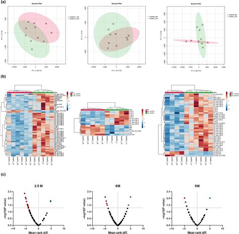 Transcriptomic And Metabolomic Changes Might Predict Frailty In Samp