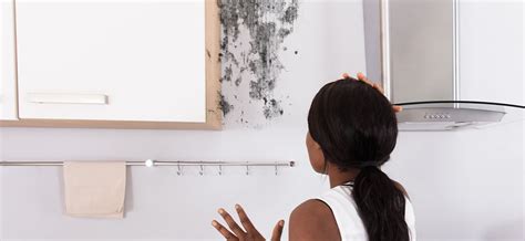 how to identify mold in your home