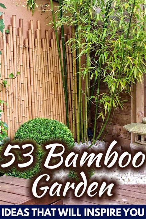 53 Bamboo Garden Ideas That Will Inspire You