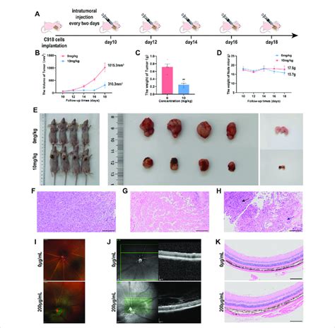 The Multi Mode Imaging In Vivo A Timeline Of The Tumor Bearing Nude