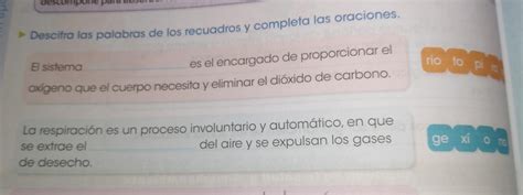 Descifra Las Palabras De Los Recuadros Y Completa Las Oraciones