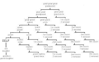 Fusion: Relationship Chart