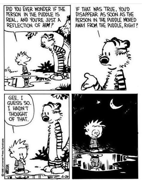 Did You Ever Wonder R Calvinandhobbes