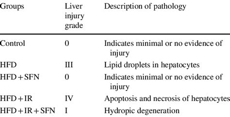 The Grading Standards For Liver Injury Download Scientific Diagram