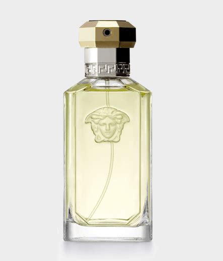 Versace The Dreamer Review: Is It Worth It? | Dapper Confidential