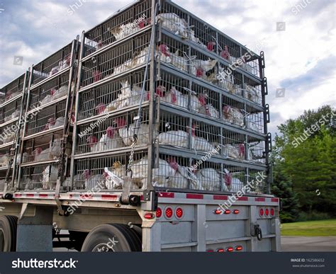 Poultry Truck Images Stock Photos Vectors Shutterstock