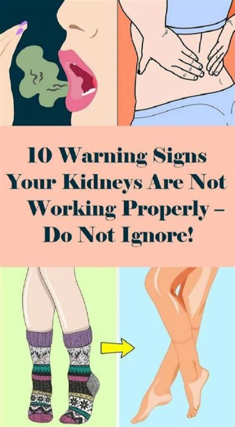 5 Signs Your Kidneys Are Working Overtime (Or Not Enough?)