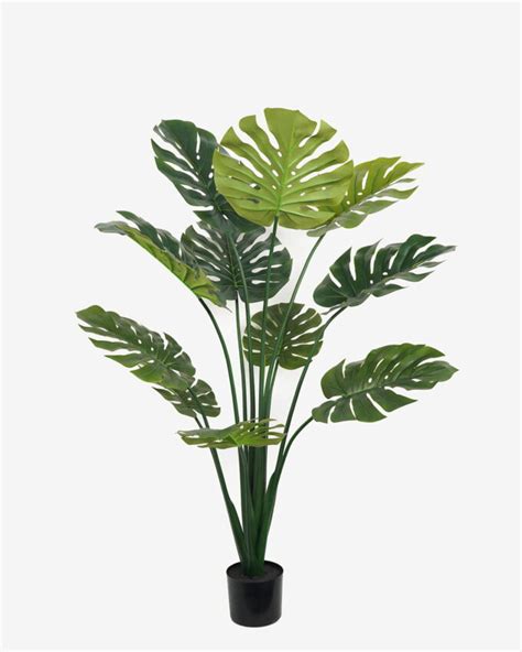 Artificial Tree 70 70 100cm Monstera Deliciosa In PP Pot GS 67722020