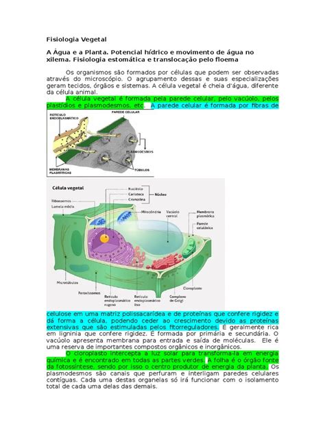 Pdf Fisiologia Vegetal Resumo Dios M O Dokumen Tips