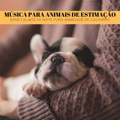 Música Para Animais De Estimação Sons Calmos Da Noite Para Ansiedade