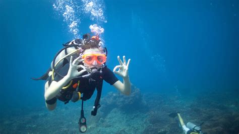 Buceo En Punta Cana Ms Dreamers Excursiones En Punta Cana Tours