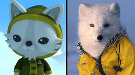 Octonauts Real Life