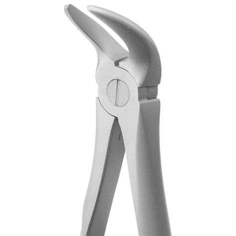 Prodent Usa Lower Cowhorn Extraction Forceps In Sandblast Finish