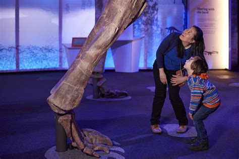 Titanosaur Stomps Into Natural History Museum Londonist