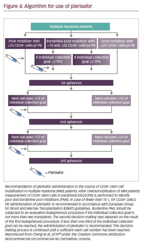 How To Find The Optimal Mobilisation Strategy TouchONCOLOGY