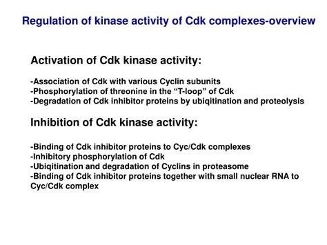 Ppt The Roles Of Cyclin Dependent Kinases Cdks In Regulation Of