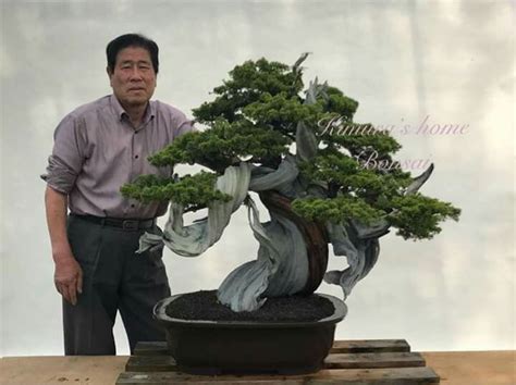 The Master Bonsai By Masahiko Kimura