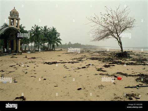 Devastation After The Tidal Wave Of The Tsunami Hit The Kalmunai