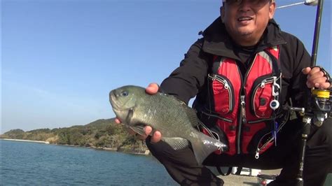 防波堤からのチヌ釣り。穏やかな春の日差しを浴びて。 Youtube