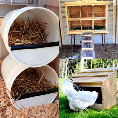 30 Diy Chicken Nesting Boxes Learn How To Build Yours