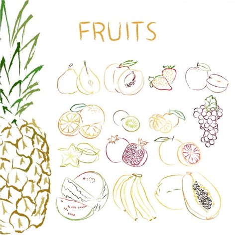 Hand Drawn Fruits Collection Eps Vector Uidownload