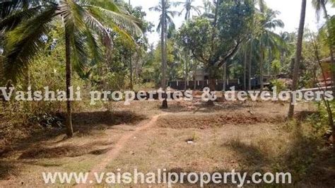 Residential Plot Cent For Sale In Feroke Kozhikode Rei