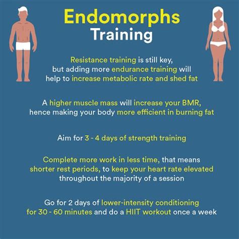 An Info Sheet Describing How To Train For The Endorph S Training Program