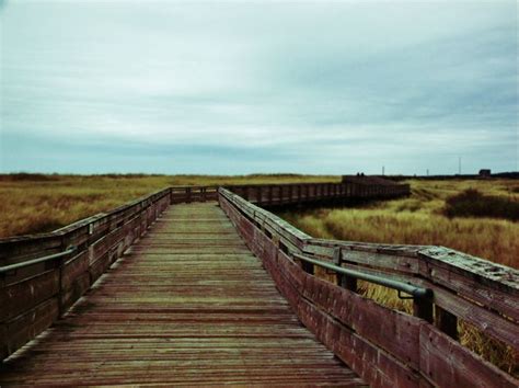 a wooden bridge that is in the middle of some grass and dirt field with ...