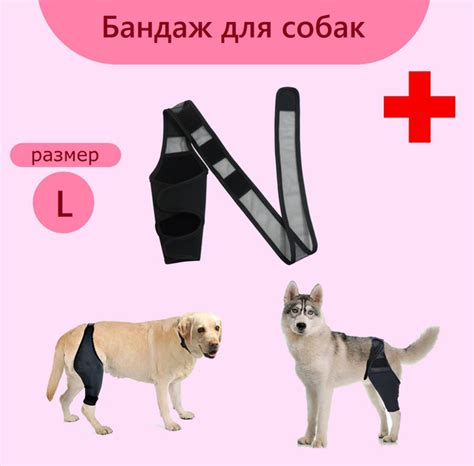 Бандаж ортопедический для собак. Размер L купить на OZON по низкой цене ...