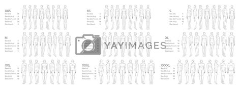 Royalty Free Vector Set Of Women Xxs Xs S M L Xl Xxl Xxxl Xxxxl Sizes Fashion Template Croquis