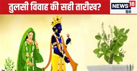 Tulsi Vivah 2024 Date कब है तुलसी विवाह 12 या 13 नवंबर दूर करें कन्फ्यूजन जानें तुलसी से