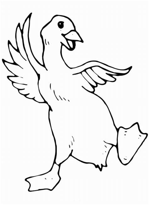 Раскраска Утка 🖍. Раскрашиваем любимыми цветами бесплатно и с улыбкой 👍