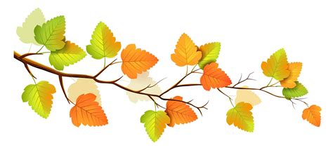 Fall Leaves Tree Branch Clip Art 2500x1131 Clip Art Background