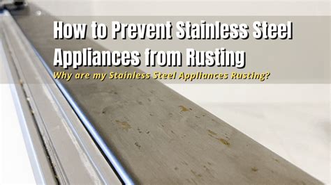 How To Prevent Stainless Steel Appliances From Rusting Myhomedwelling