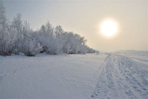 Winter Fog in the Vicinity of Omsk, Siberia Stock Photo - Image of snow ...