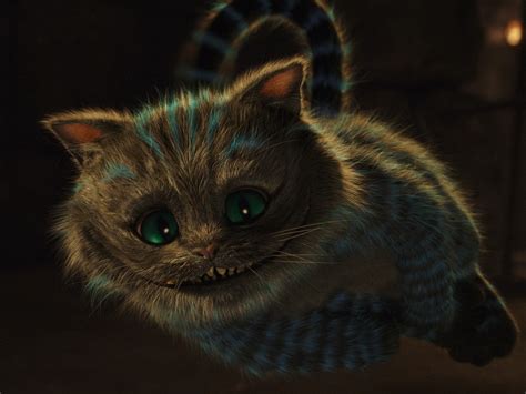 Fondos De Pantalla Gato De Cheshire Sonriente Volador Bigotes