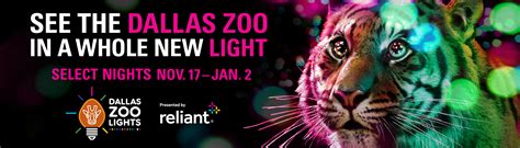 Dallas Zoo Lights Campaign - Carloseff