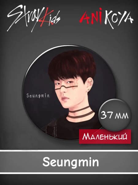 Значок k-pop группы Stray Kids / Стрей Кидс - Ким Сын Мин / SeungMin ...