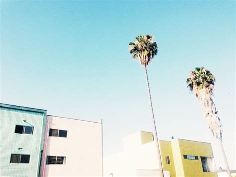 Christy Haas Ma Lpcc Kap Certified Sex Therapist Ketamine Assisted Psychotherapist