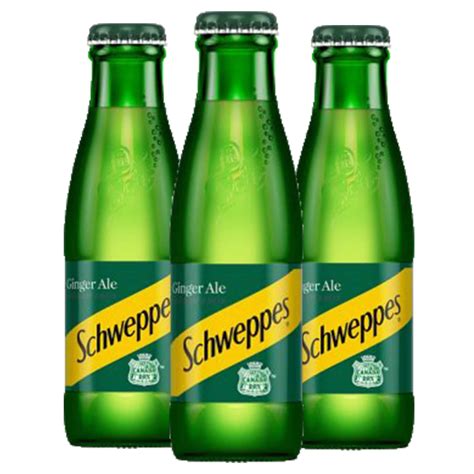 Schweppes Ginger Ale Ml X Andwell Brewery