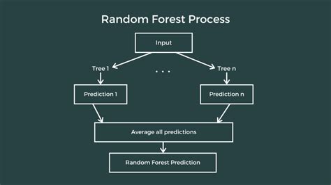 Random Forest Regression Explained With Implementation In Python By