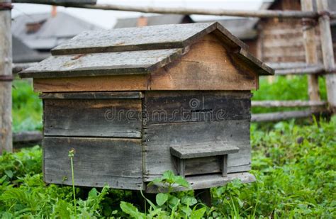 Old Beehive Stock Photo Image Of Breeding Green Spring 15116218