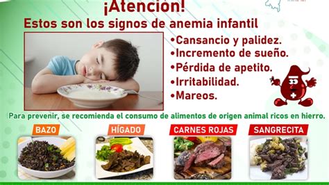 Atenci N Estos Son Los Signos De Anemia Infantil Noticias