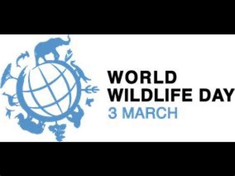 Wwf World Wildlife Day 2021 Forests And Livelihoods Sustaining