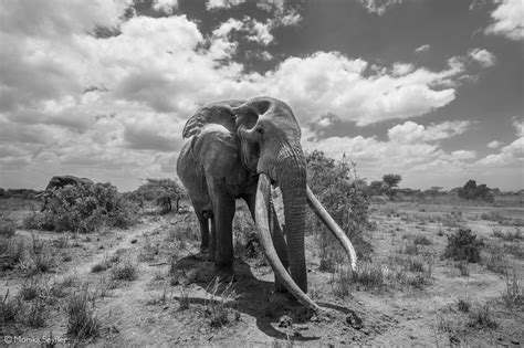 Africa Geographic On Twitter Meeting Craig Was The Best Moment On